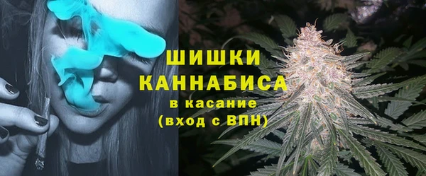 амф Анива