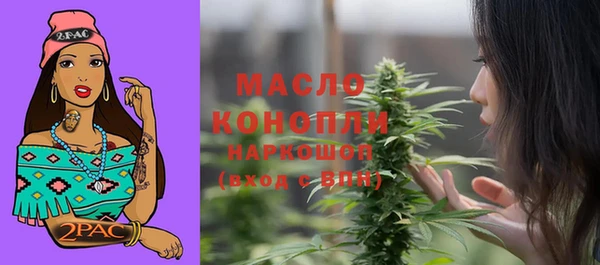 PSILOCYBIN Алагир